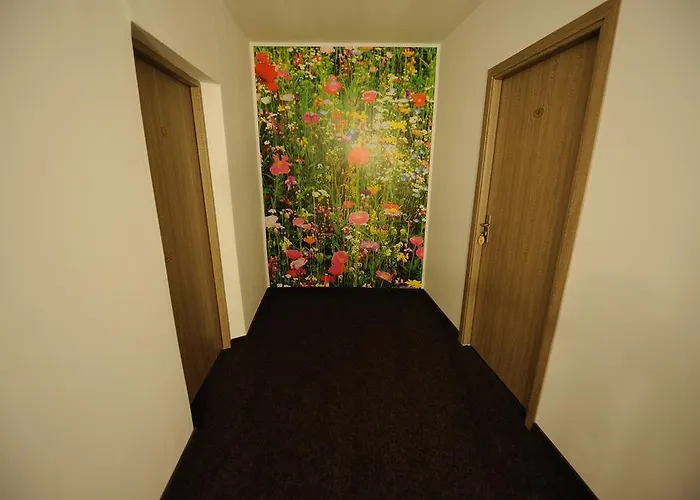 Pensiunea Natura Craiova