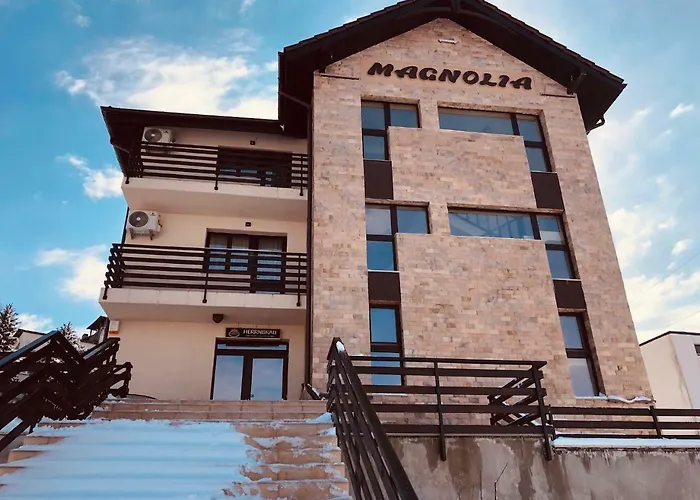 Pensiunea Magnolia Craiova